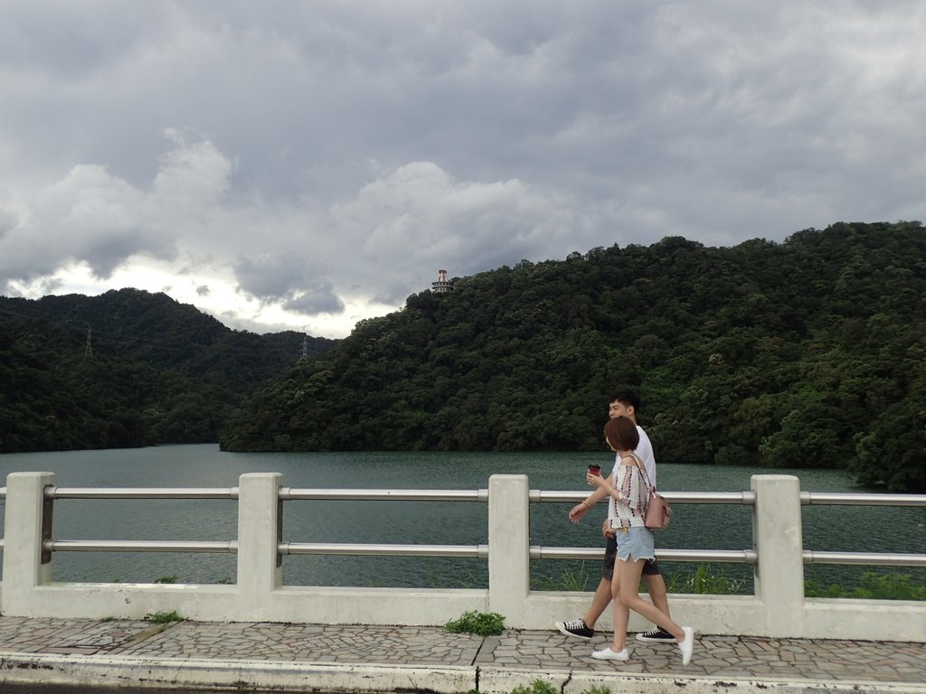 P8247031.JPG - 雨中漫遊  石門水庫