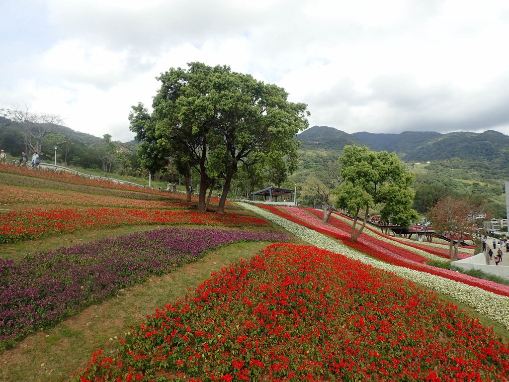 P2155451.JPG - 北投社  三層崎公園