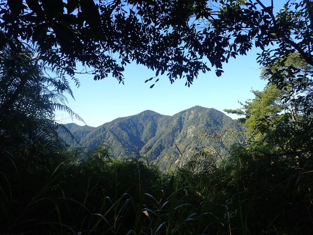 P2275873.JPG - 谷關七雄之  唐麻丹山