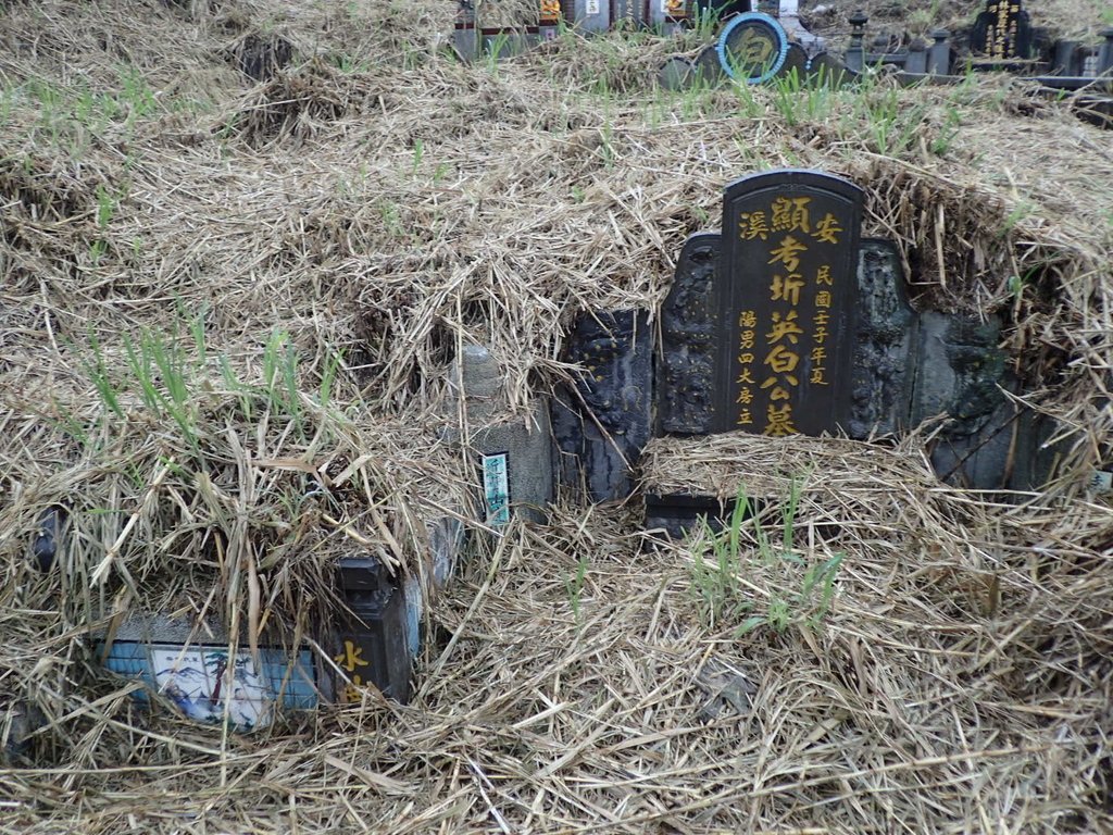 三峽  橫溪地區古墓踏查