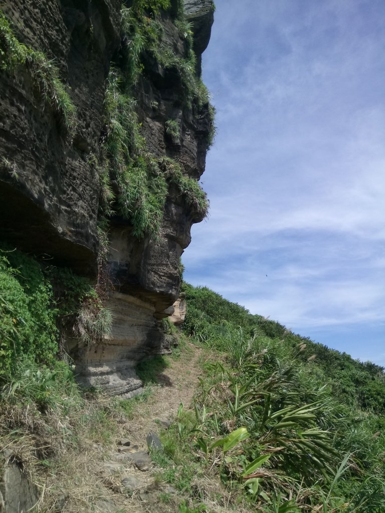 DSC_1686.JPG - 瑞芳  深澳山登山步道