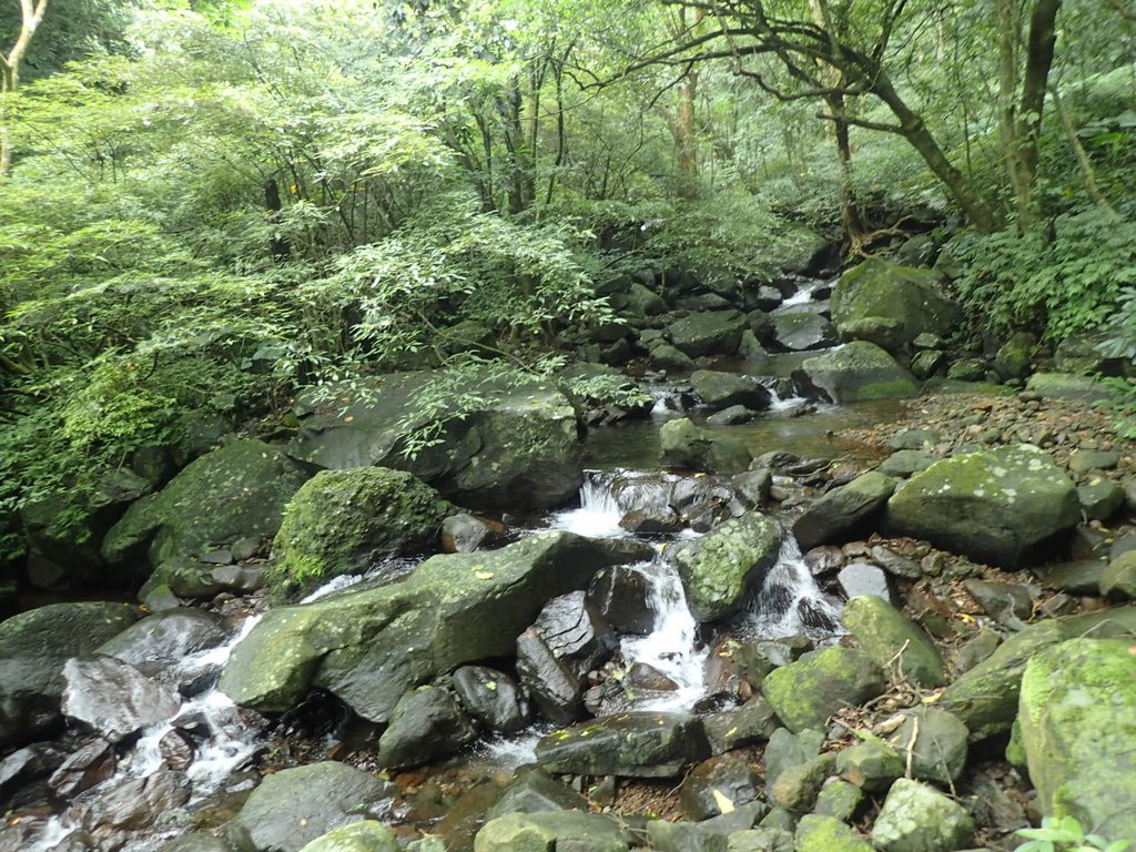 P6114283.JPG - 三芝  大屯溪古道