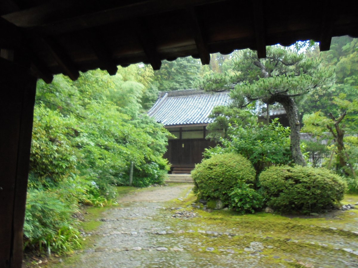 DSC04070.JPG - 京都  華頂山  知恩院