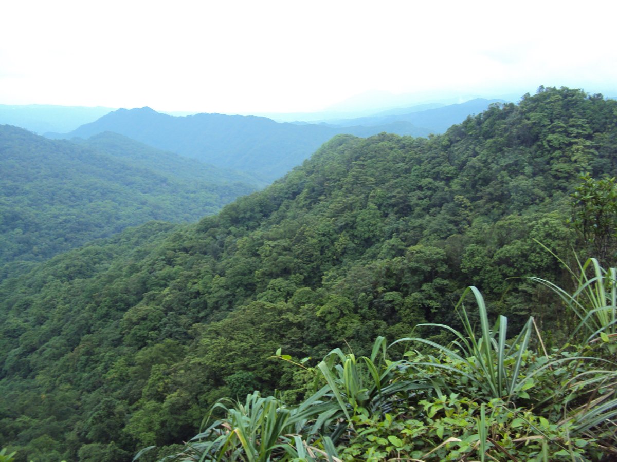 DSC07465.JPG - 雙溪  泰平村  虎豹潭