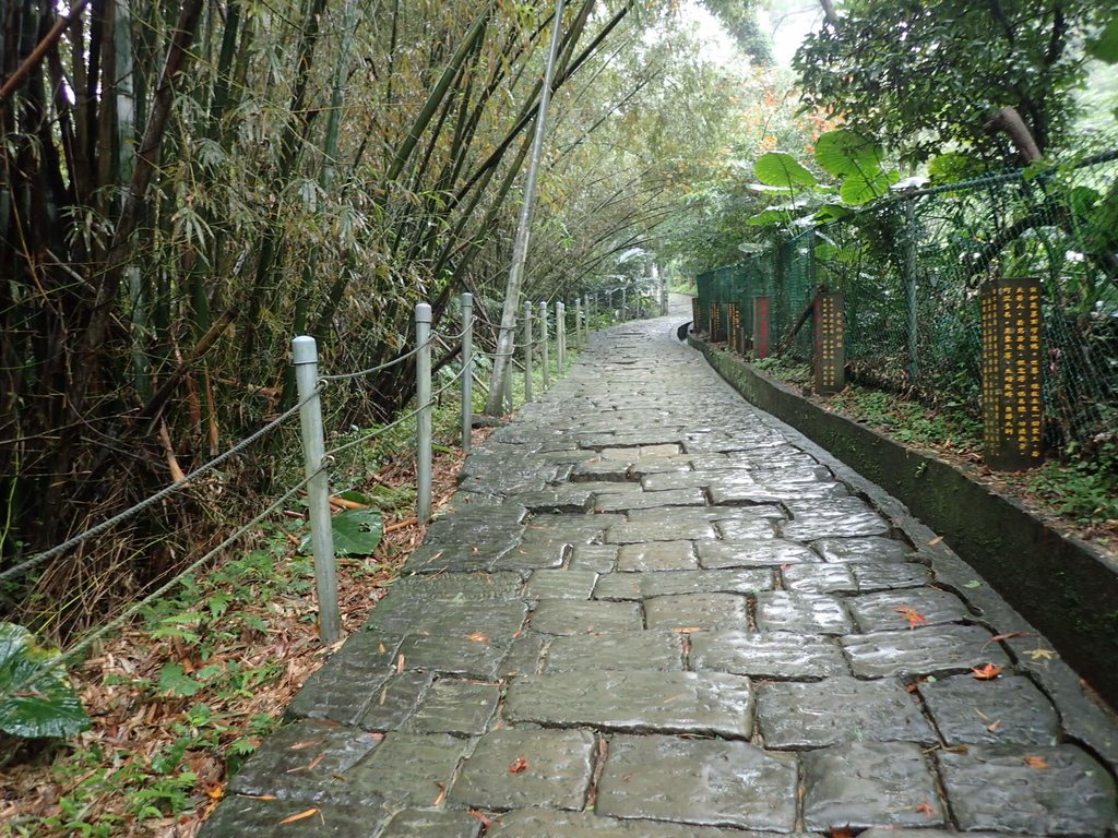 P1062019.JPG - 土城  承天寺  朝山步道