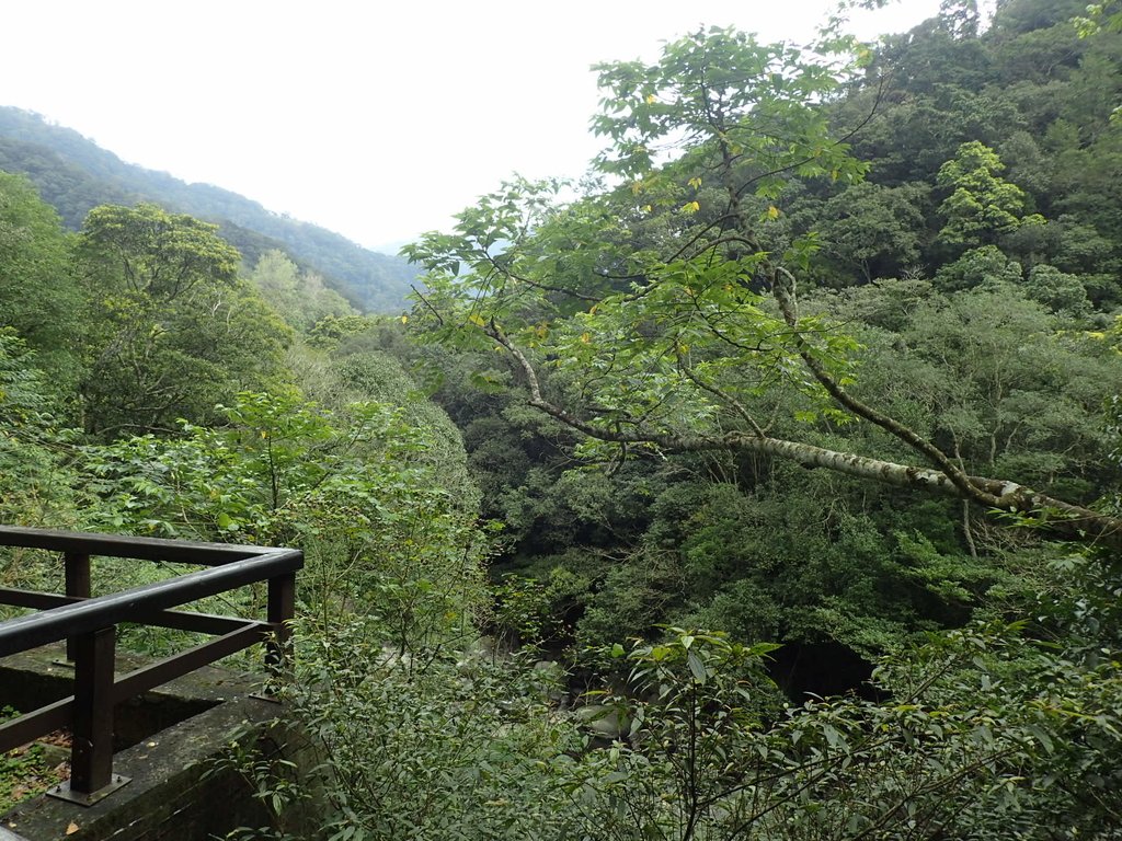 P3028980.JPG - 三峽  滿月圓森林遊樂區