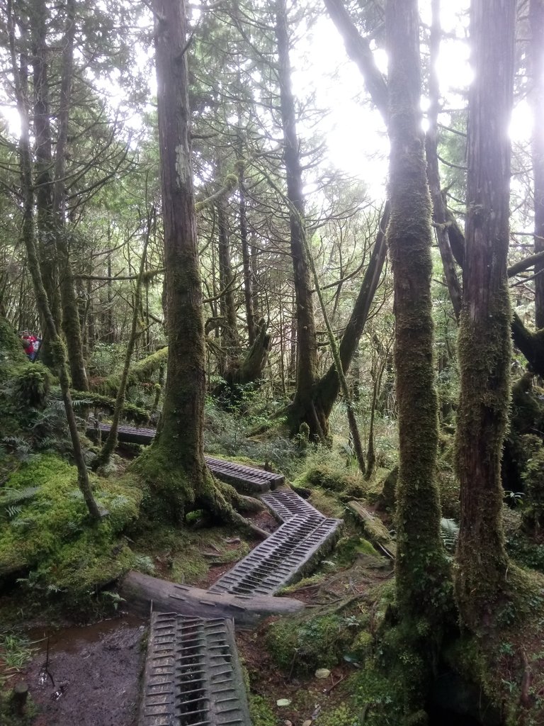 DSC_0066.JPG - 太平山  翠峰湖環山步道  01