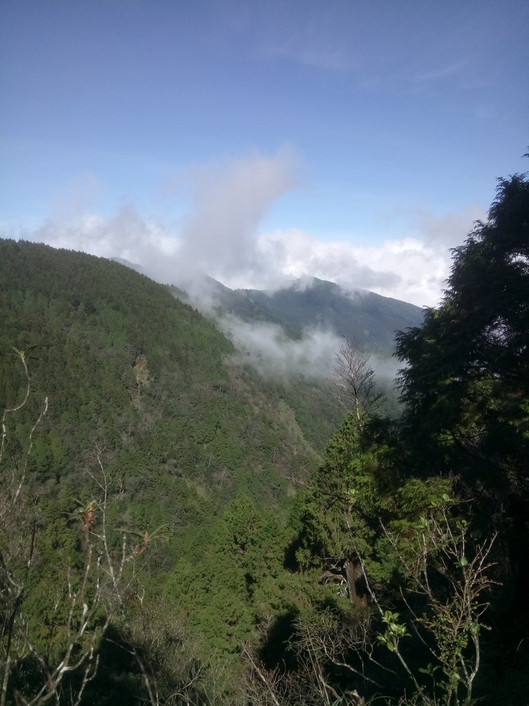 DSC_0097.JPG - 太平山  翠峰湖環山步道  01