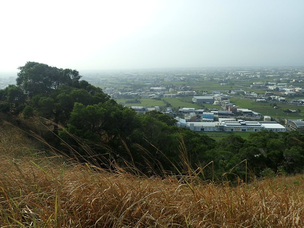 PA160970.JPG - 大甲  鐵砧山大草原