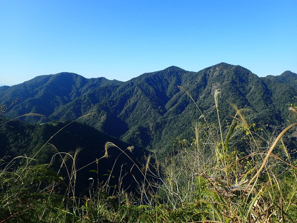 P2275878.JPG - 谷關七雄之  唐麻丹山