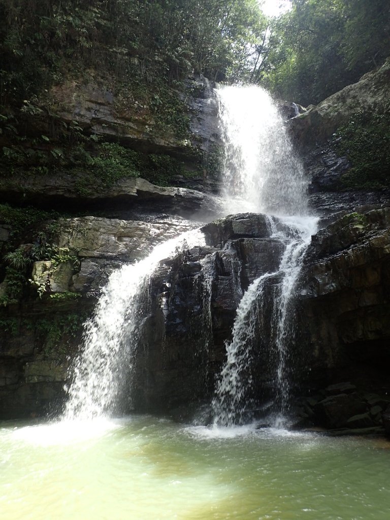 P6284922.JPG - 魚池  澀水森林步道  水上瀑布