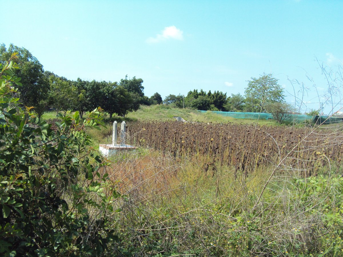 DSC06920.JPG - 新營  雲騎尉  沈正直墓