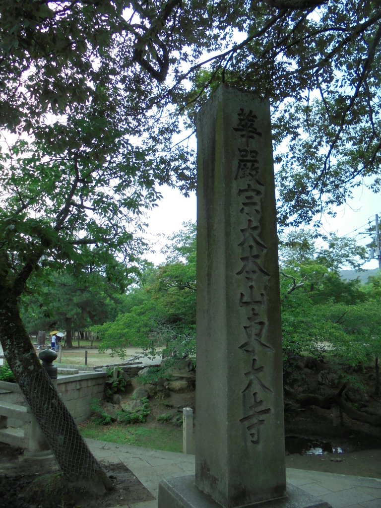 DSC03904.JPG - 奈良  東大寺