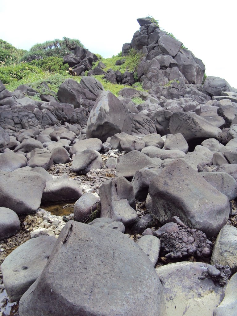 DSC09012.JPG - 富基海岸  岩石之美