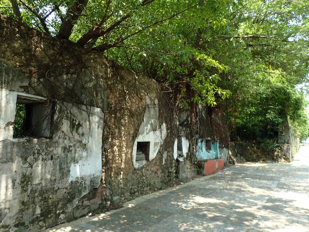 P8191726.JPG - 左營  蓮池潭  龜山公園