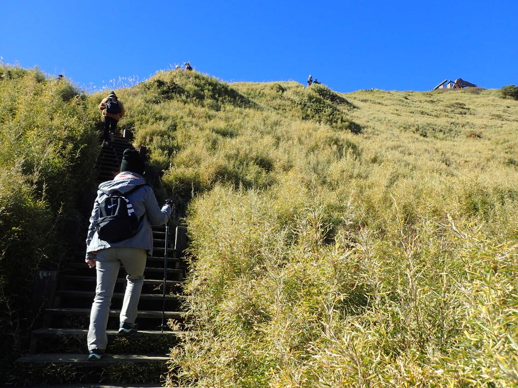 PC132031.JPG - 合歡山  東峰