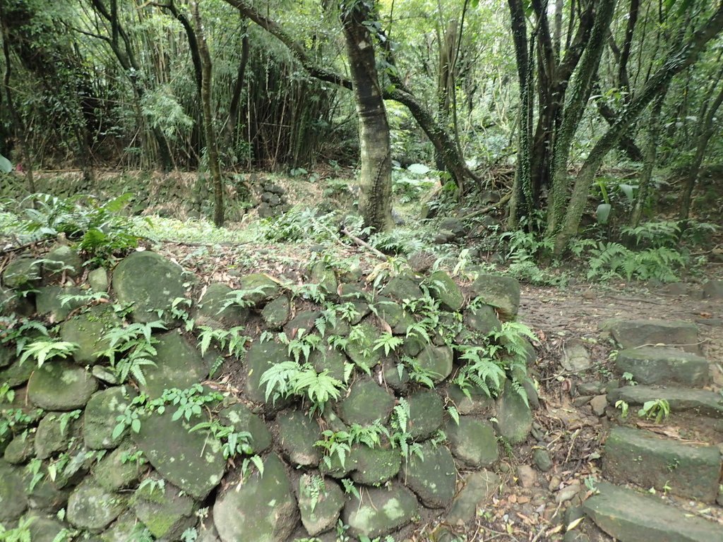 P1274427.JPG - 瑞芳  燦光寮古道初探