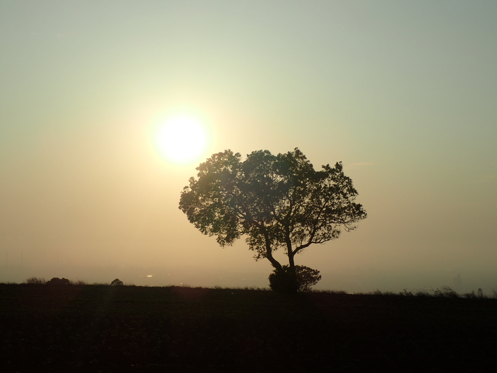 P4091133.JPG - 大肚山  紅土高坡  夕照