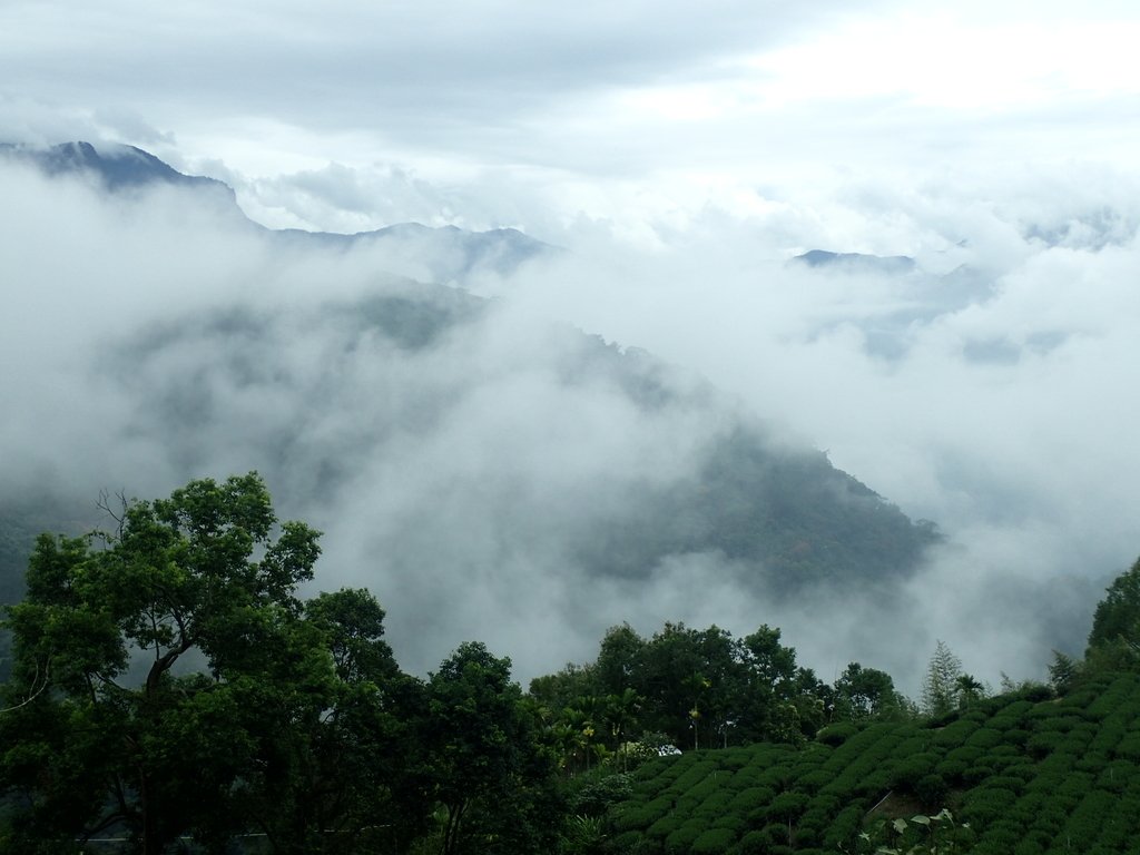 PA231665.JPG - 古坑  草嶺  雲山繚繞