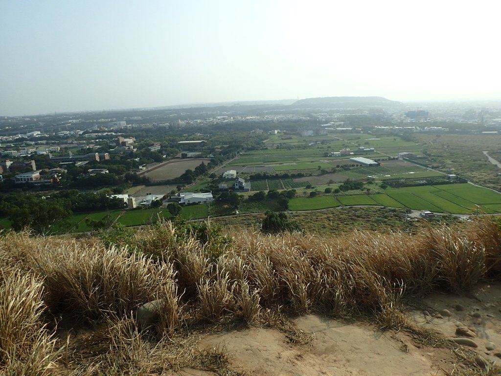 PA161002.JPG - 大甲  鐵砧山大草原