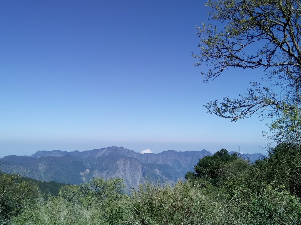 DSC_1674.JPG - 鹿林山  麟趾山步道  (01)