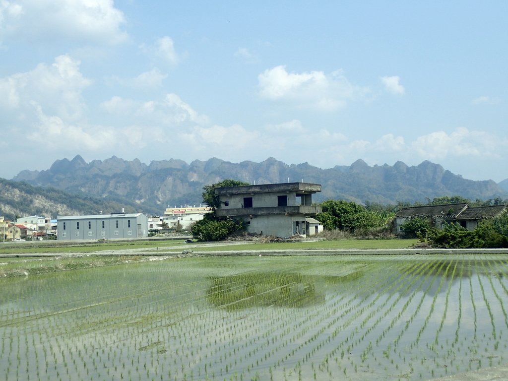 P3016033.JPG - 草屯平林  九九峰森林步道