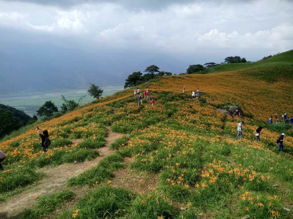 DSC_0741.JPG - 富里  六十石山  金針花季