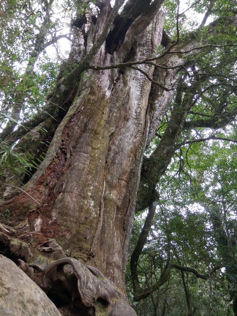 DSC_3720.JPG - 南庄  加里山