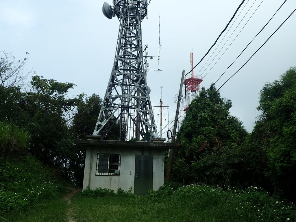 P9108415.JPG - 新竹  五指山登山步道