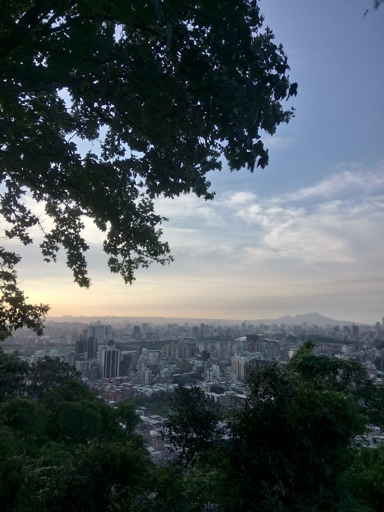 DSC_2700.JPG - 景美  仙跡岩親山步道