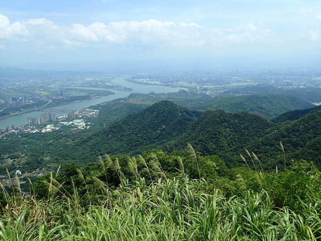 P8076248.JPG - 觀音山之  北橫古道