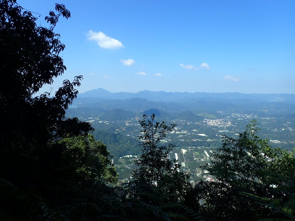 PA040387.JPG - 魚池  過坑山登山步道