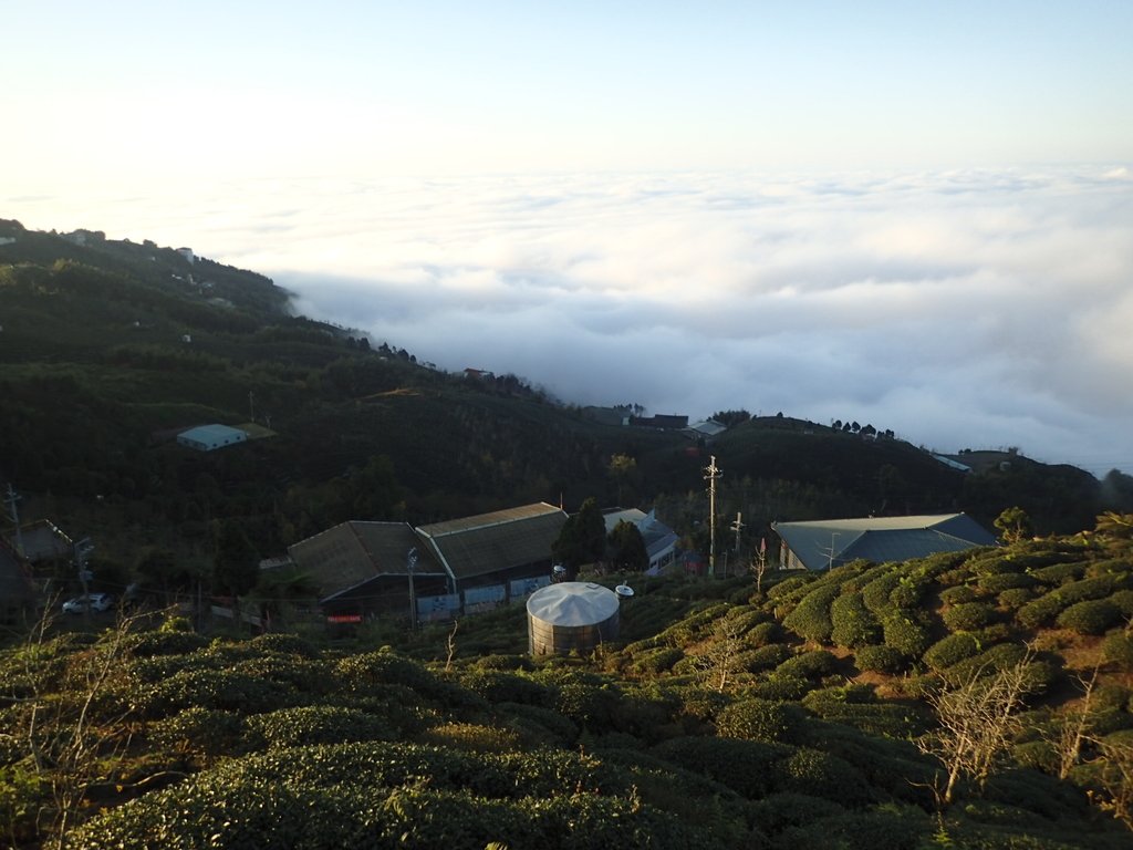 P1076396.JPG - 鹿谷  大崙山  觀霧亭之  暮光