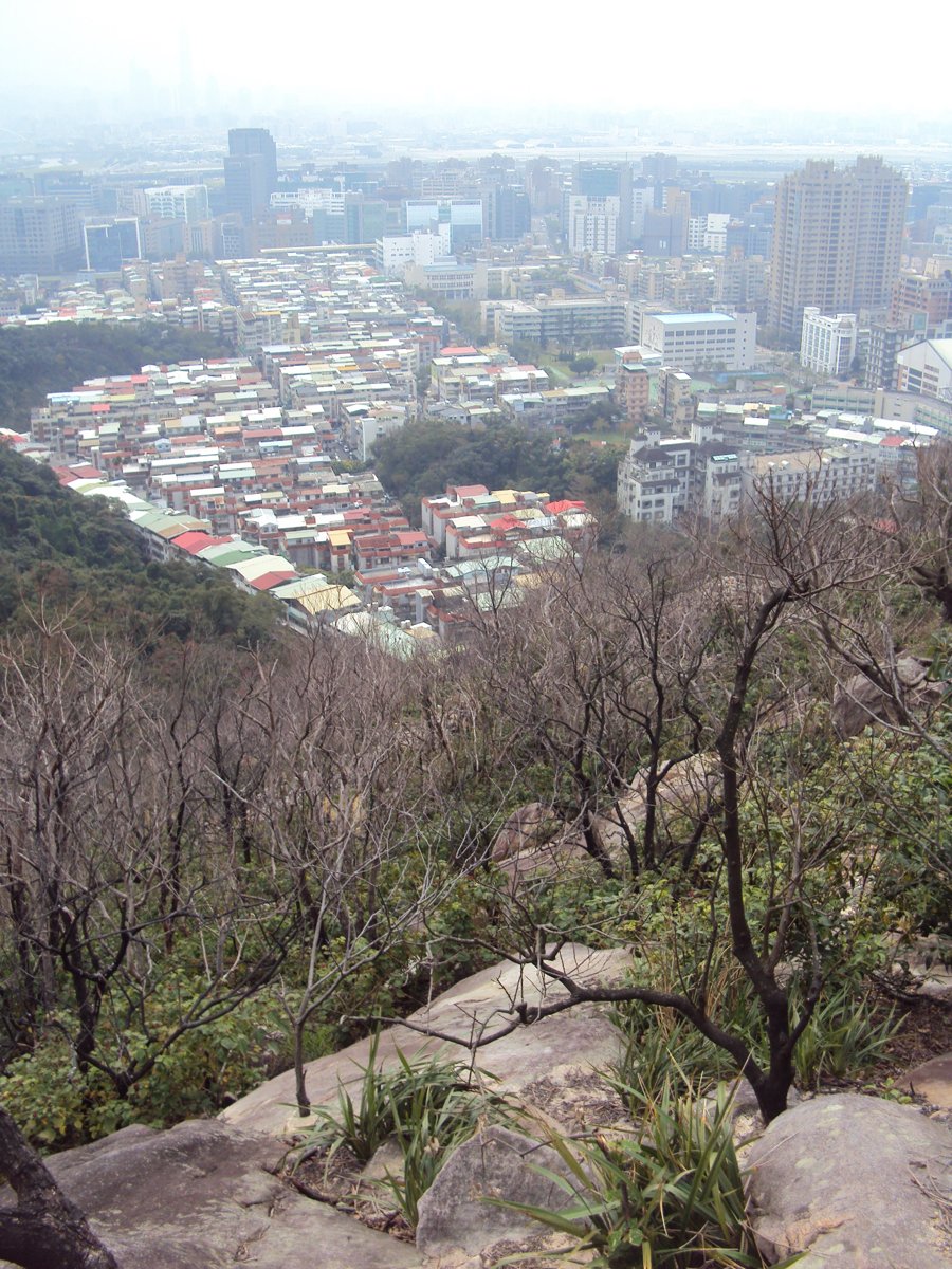 DSC06683.JPG - 內湖  金面山步道