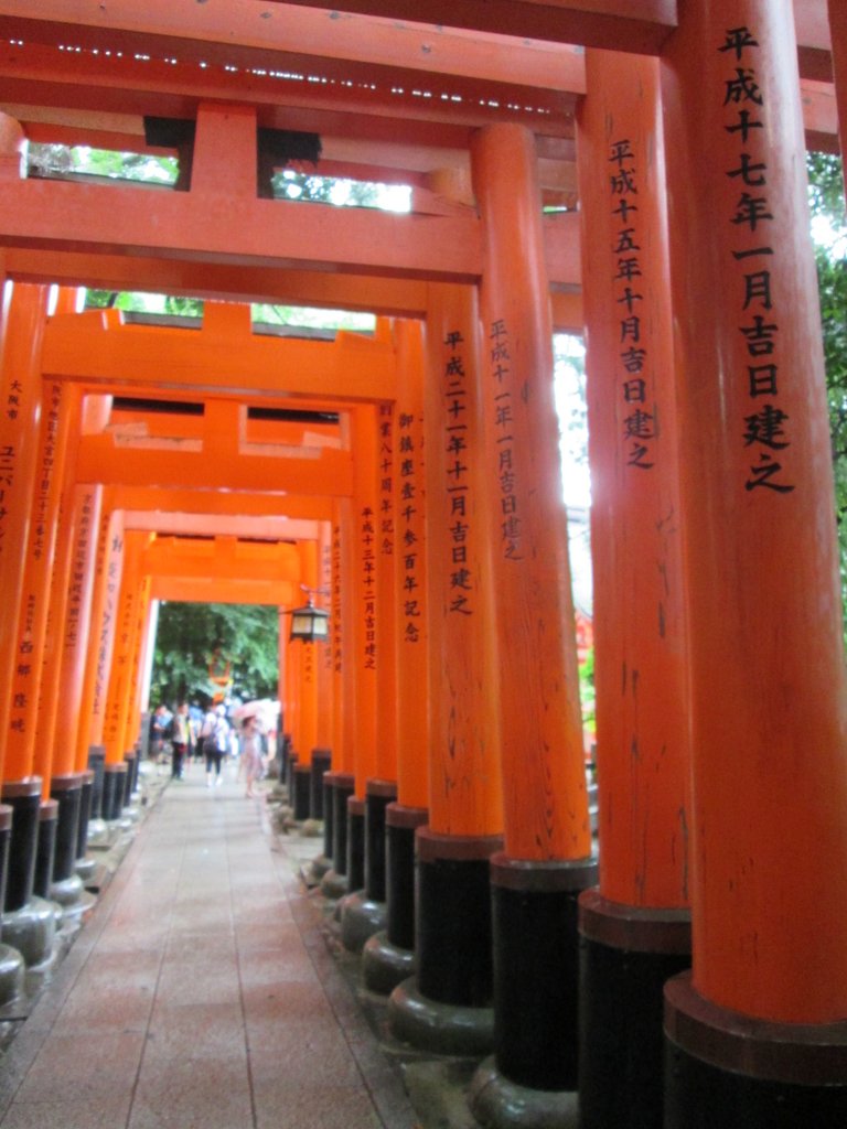 IMG_3704.JPG - 伏見稻荷神社  千本鳥居