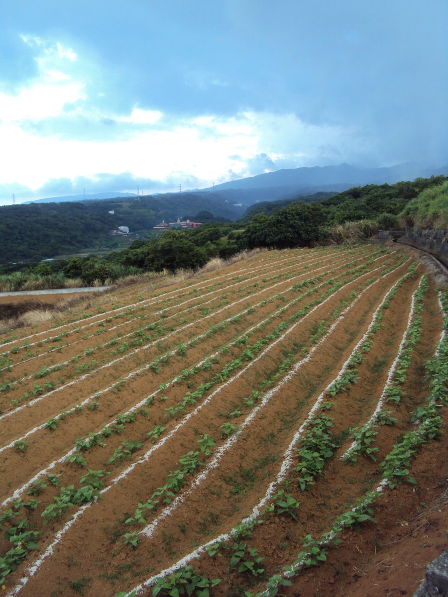 DSC09083.JPG - 石門  小坑田野之美