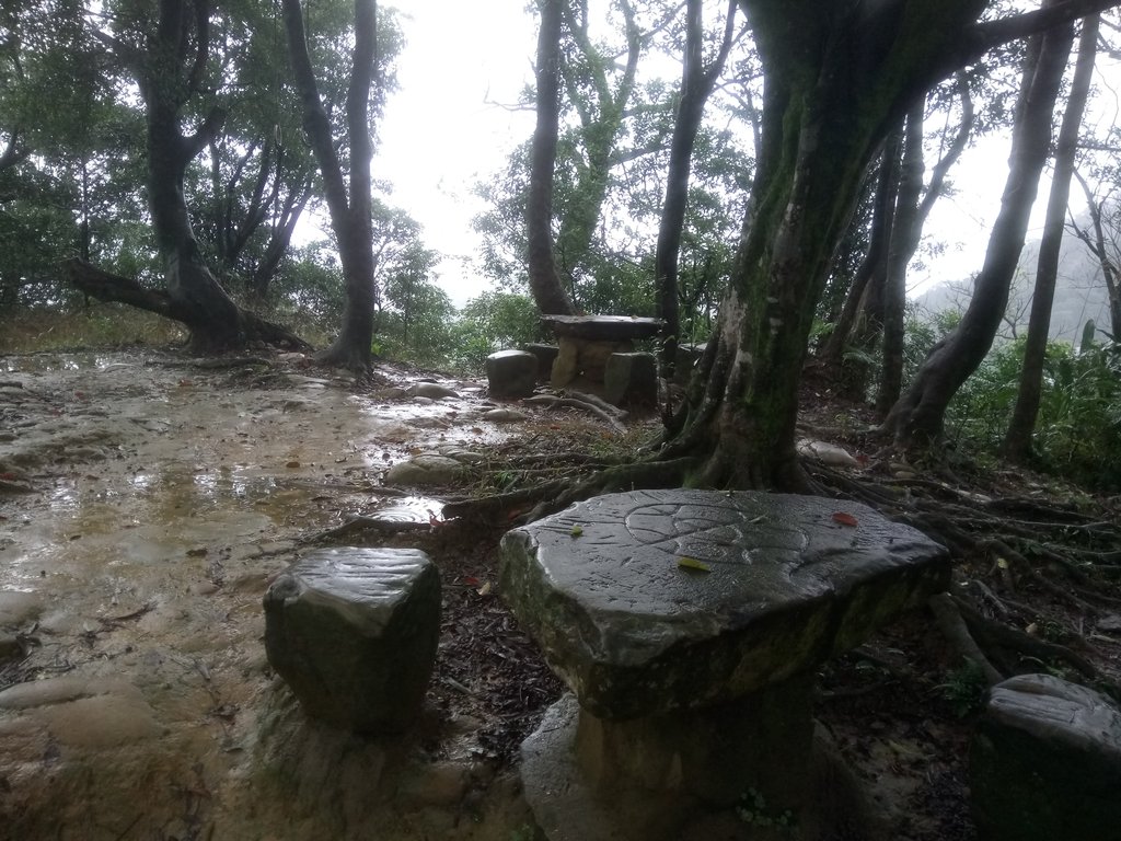 DSC_1725.JPG - 土城  天上山  登山步道