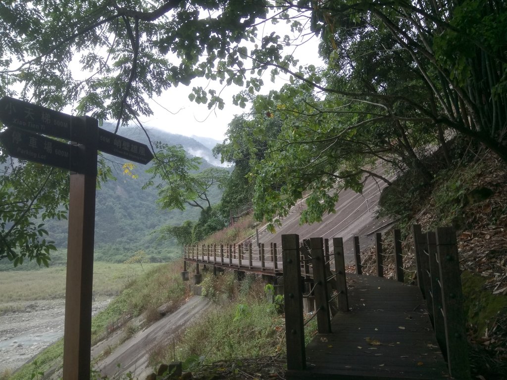 DSC_1209.JPG - 草嶺  茄苳步道  峭壁雄風