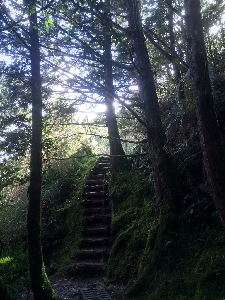 DSC_0102.JPG - 太平山  翠峰湖環山步道  01