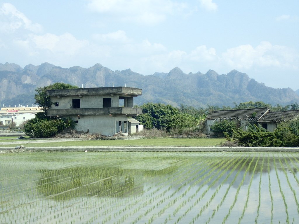 P3016034.JPG - 草屯平林  九九峰森林步道