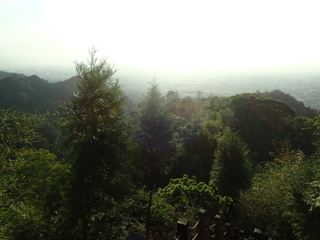 P1123669.JPG - 潭子 聚興山  新田登山步道