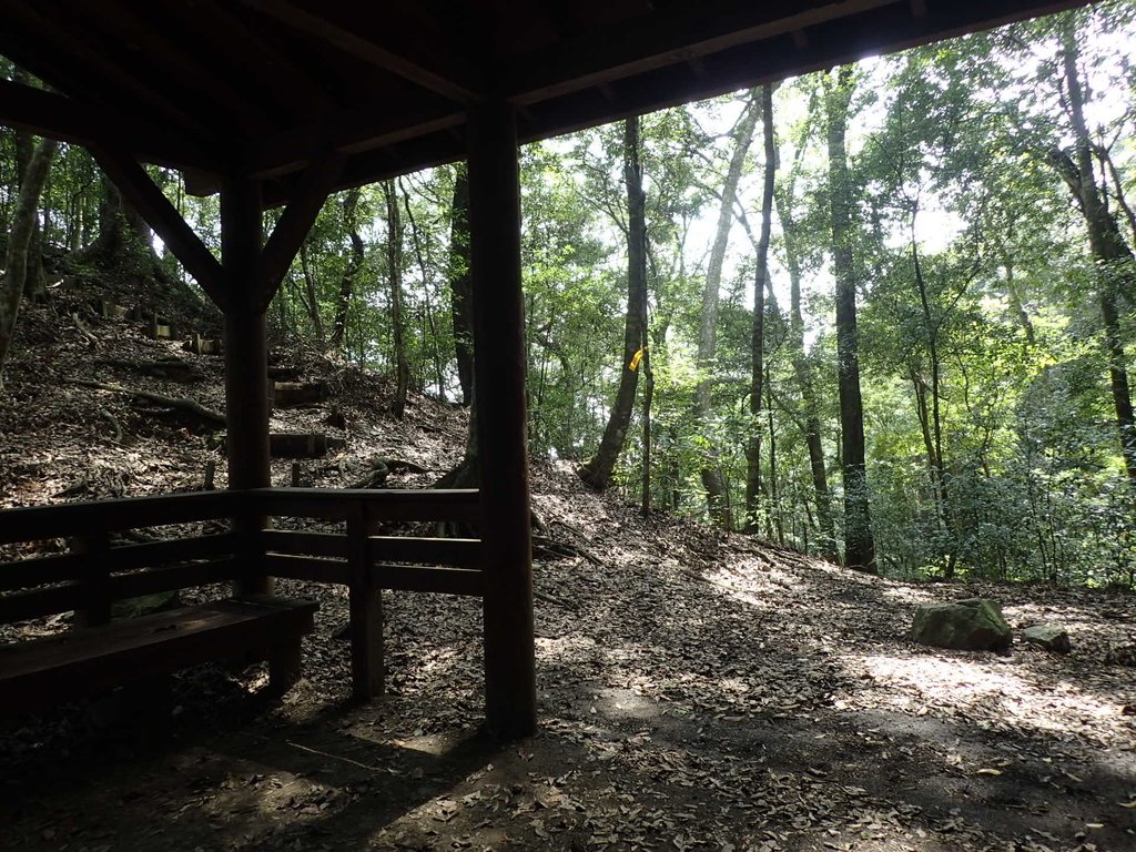 P3167325.JPG - 谷關七雄之  屋我尾山