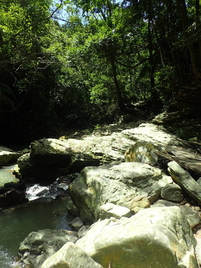 P6284931.JPG - 魚池  澀水森林步道  水上瀑布