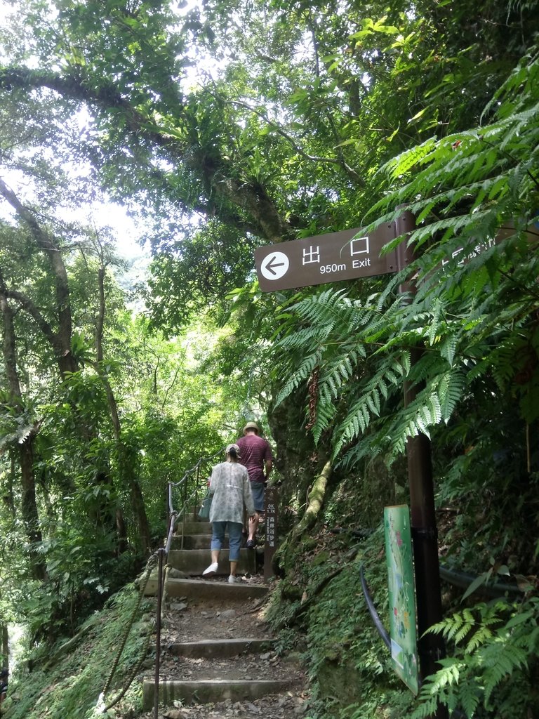 DSC_6786.JPG - 烏來  內洞林道  初探