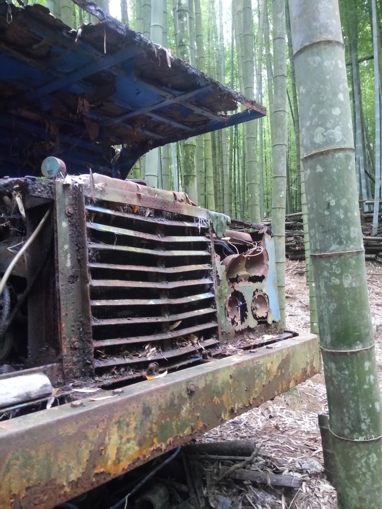 DSC_5258.JPG - 台中和平  長壽山登山步道  (中)