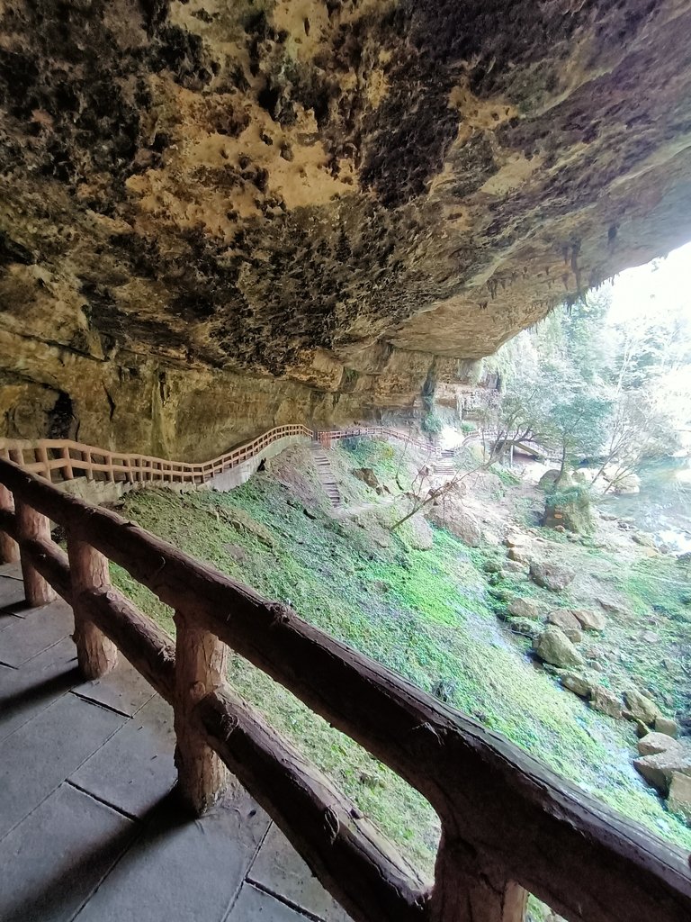 IMG20210205122800.jpg - 竹山  杉林溪森林遊樂園  路過