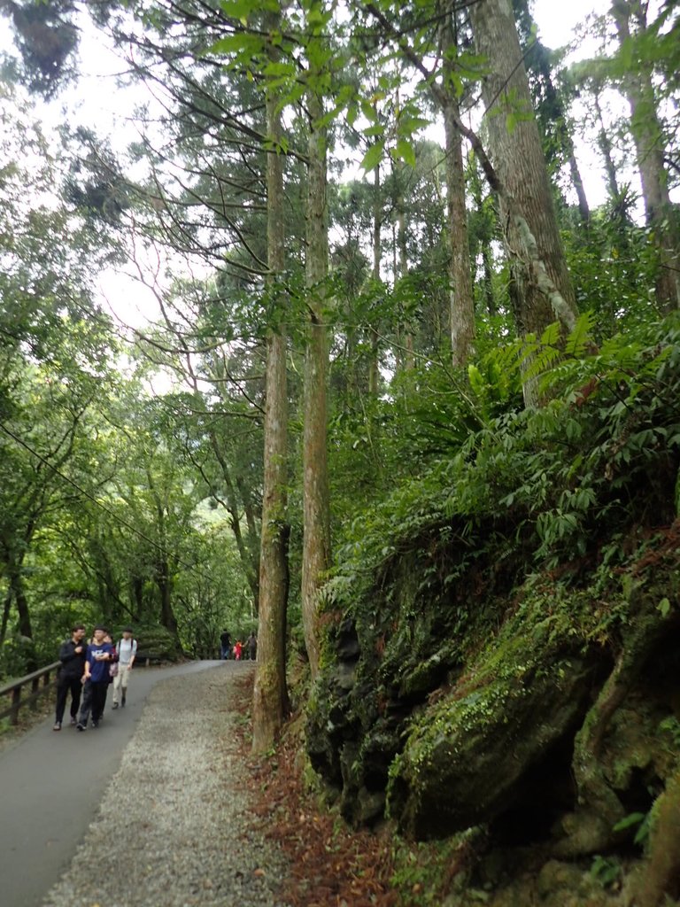 P3028990.JPG - 三峽  滿月圓森林遊樂區