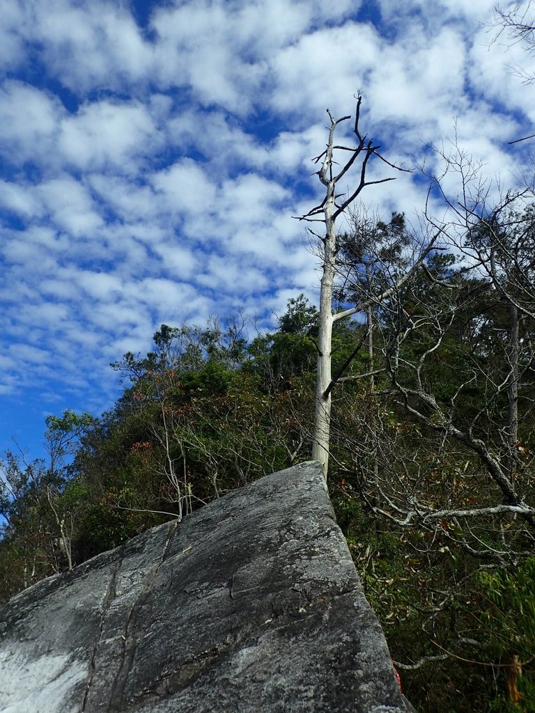 PC282640.JPG - 谷關七雄之  東卯山