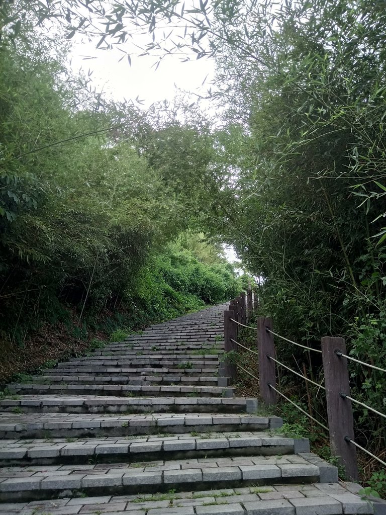 DSC_8932.JPG - 公館  墨硯山步道