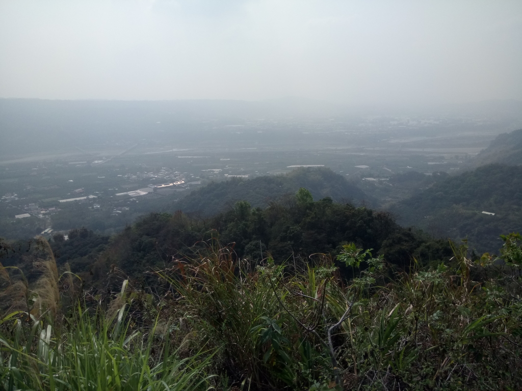 DSC_7356.JPG - 草屯平林  九九峰森林步道